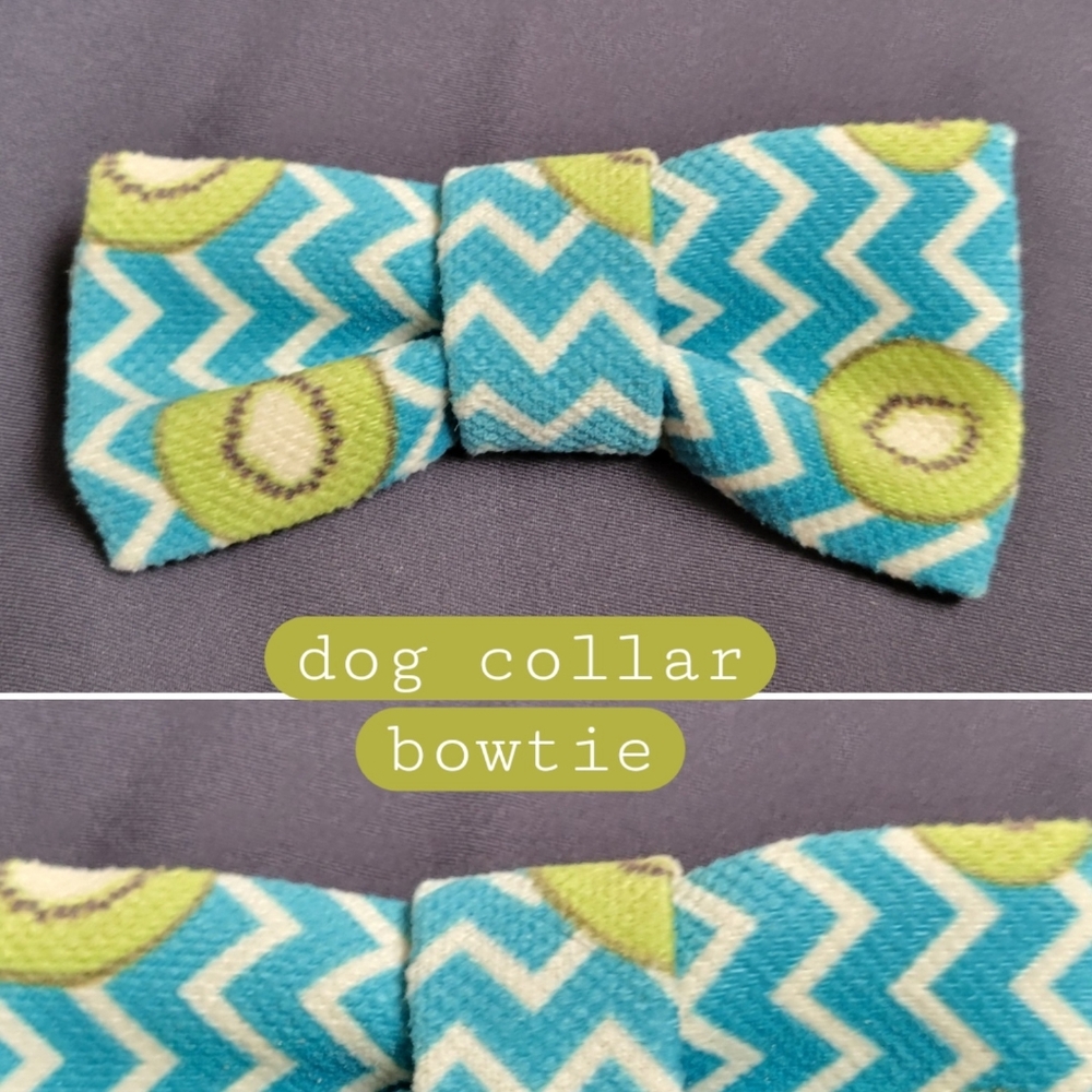 Dog Collar 4" Bowtie Kiwi Fruit with Turquiose and Off-white Zigzag Pattern